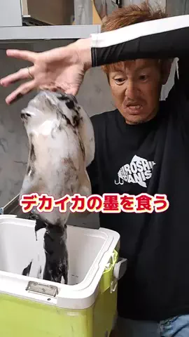 広島たにさんのぼれやびゃー動画のTikTok投稿