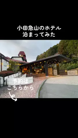 ふじ カツのTikTok投稿