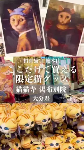 TABIZINEのTikTok投稿
