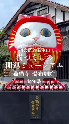 TABIZINEのTikTok投稿