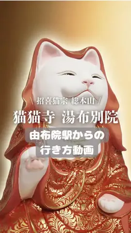 TABIZINEのTikTok投稿