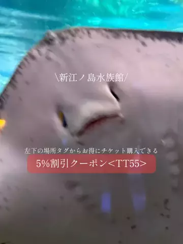 群馬発すー旅⌇旅と暮らしのTikTok投稿