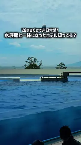 くつろぎらいふのTikTok投稿