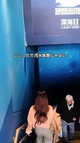群馬発すー旅⌇旅と暮らしのTikTok投稿