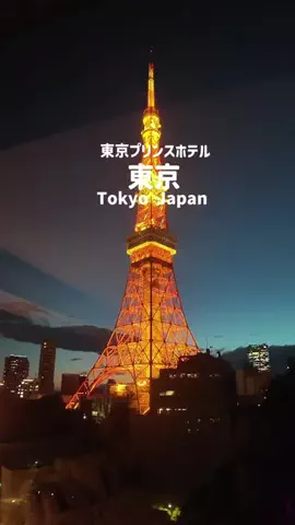 くつろぎらいふのTikTok投稿