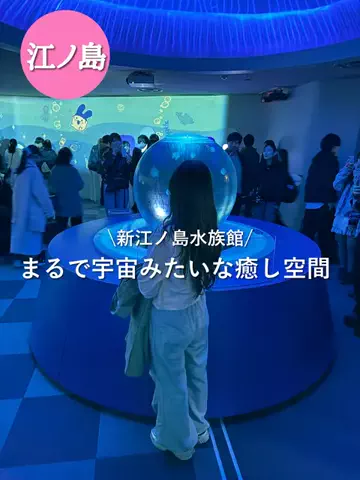 群馬発すー旅⌇旅と暮らしのTikTok投稿