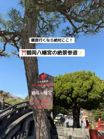 群馬発すー旅⌇旅と暮らしのTikTok投稿