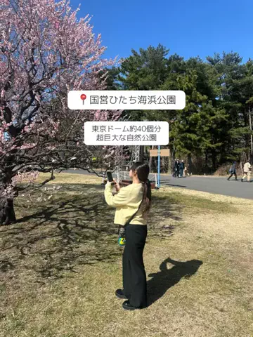 群馬発すー旅⌇旅と暮らしのTikTok投稿