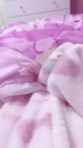 いちごねこのTikTok投稿