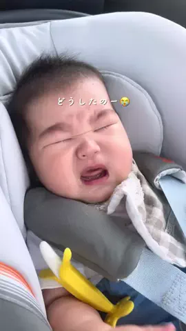こむぎ┆ 0歳× 2歳ママの子育て記録🔖.·のTikTok投稿