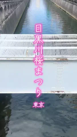 週末の旅たつ♤Ωホテル紹介のTikTok投稿
