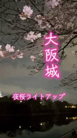 週末の旅たつ♤Ωホテル紹介のTikTok投稿