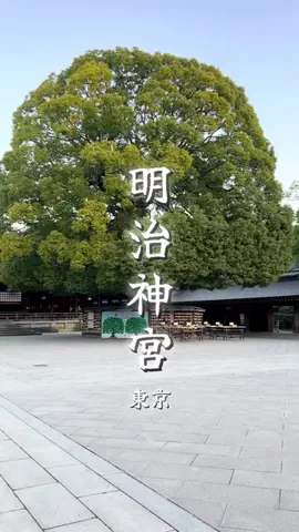 週末の旅たつ♤Ωホテル紹介のTikTok投稿