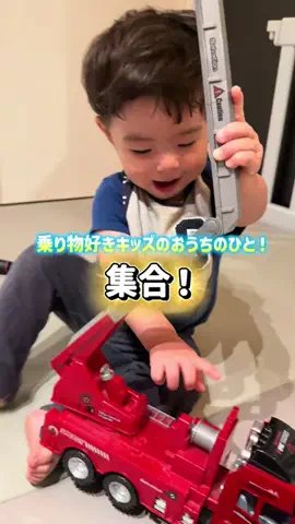 限界OLエリザベスのTikTok投稿