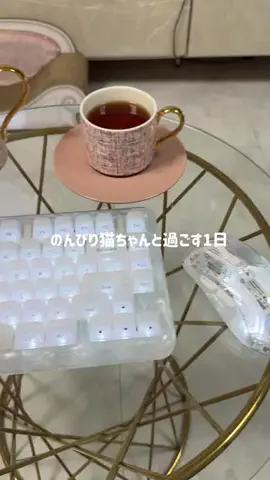 ゆら猫💚🐈‍⬛のTikTok投稿