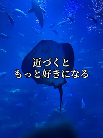 たびまちあるきのTikTok投稿