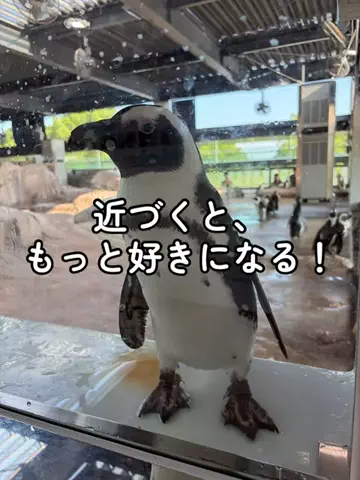 たびまちあるきのTikTok投稿