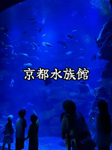 たびまちあるきのTikTok投稿