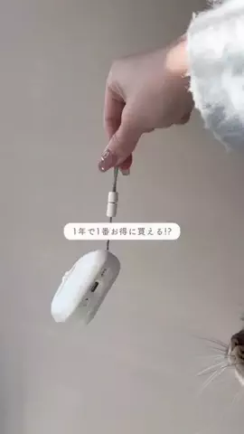 nemu☁️￤リビングで働くフリーランス8年目のTikTok投稿