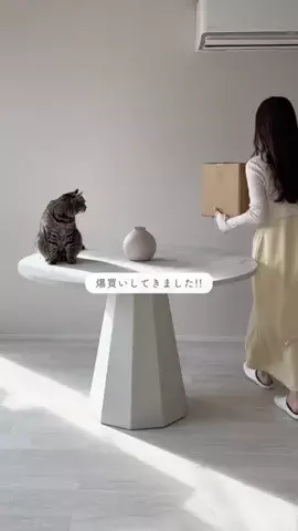 nemu☁️￤リビングで働くフリーランス8年目のTikTok投稿