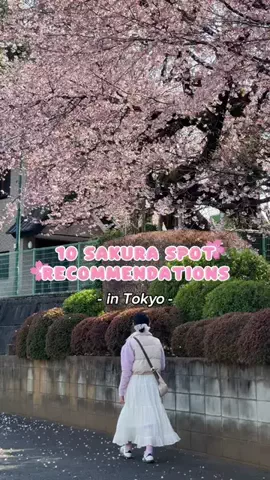 Your local Tokyo girlのTikTok投稿