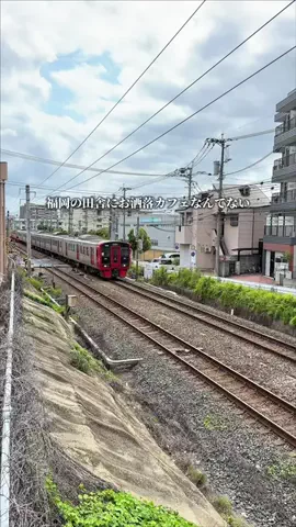 バリうま福岡｜グルメのTikTok投稿