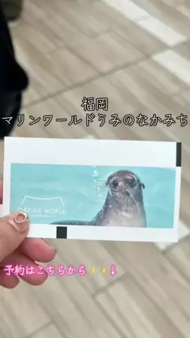 のんきなすもも💕のTikTok投稿