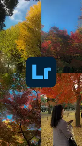 yeoleumのTikTok投稿