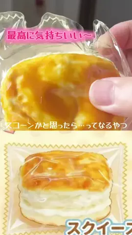 すきなことのTikTok投稿