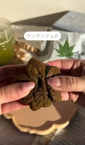 こまちゃんのTikTok投稿
