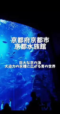 ポロ_身近なお出かけスポット紹介のTikTok投稿
