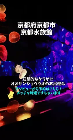 ポロ_身近なお出かけスポット紹介のTikTok投稿