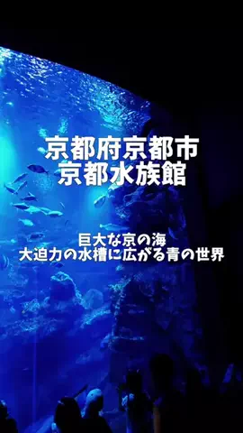 ポロ_身近なお出かけスポット紹介のTikTok投稿