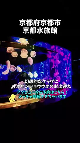 ポロ_身近なお出かけスポット紹介のTikTok投稿
