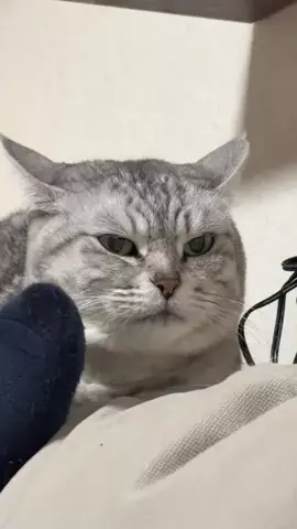 すずちゃんのTikTok投稿
