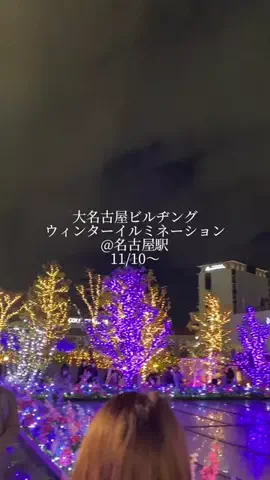 𝙁𝙡𝙞𝙥𝙥𝙚𝙧𝙨📱💕のTikTok投稿