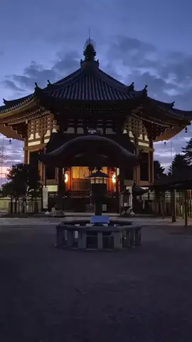 阿修羅のTikTok投稿