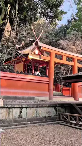 阿修羅のTikTok投稿