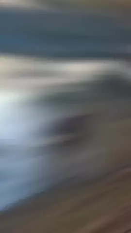 阿修羅のTikTok投稿