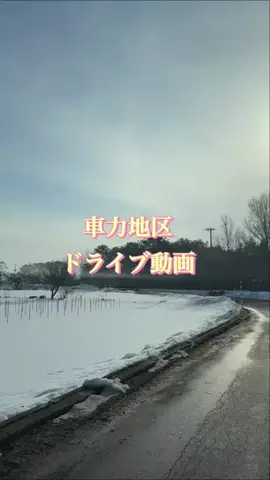 ちゃかし｜お出掛け、グルメのTikTok投稿