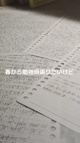 れいなのTikTok投稿