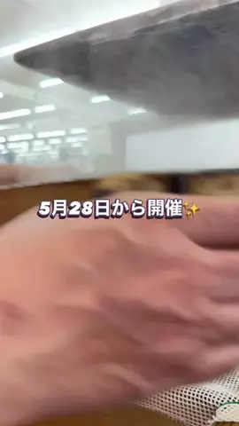 TOMAKOMAI FUNのTikTok投稿