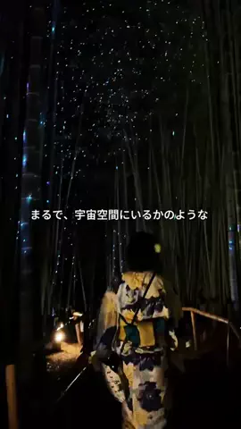 ほりいみほ【旅×モデル】のTikTok投稿