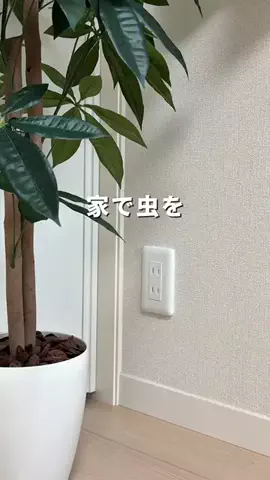 nanae_monchanのTikTok投稿