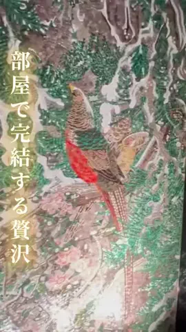 寝不足夜更かしバリトンのTikTok投稿