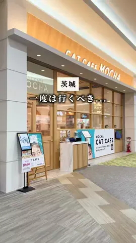 ゆか🍃茨城のおでかけ・グルメのTikTok投稿
