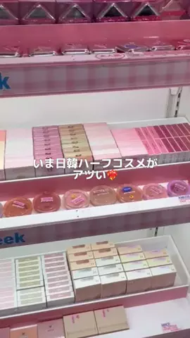 ぽむちゃんのTikTok投稿