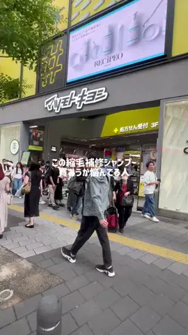 ぽむちゃんのTikTok投稿