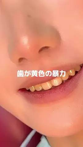 ぽむちゃんのTikTok投稿