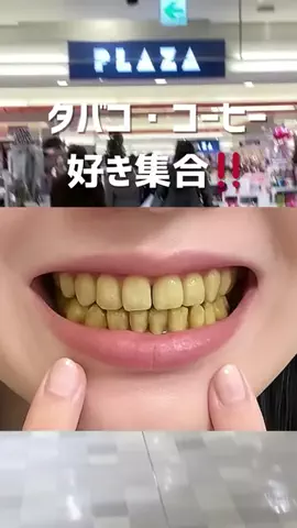 ぽむちゃんのTikTok投稿